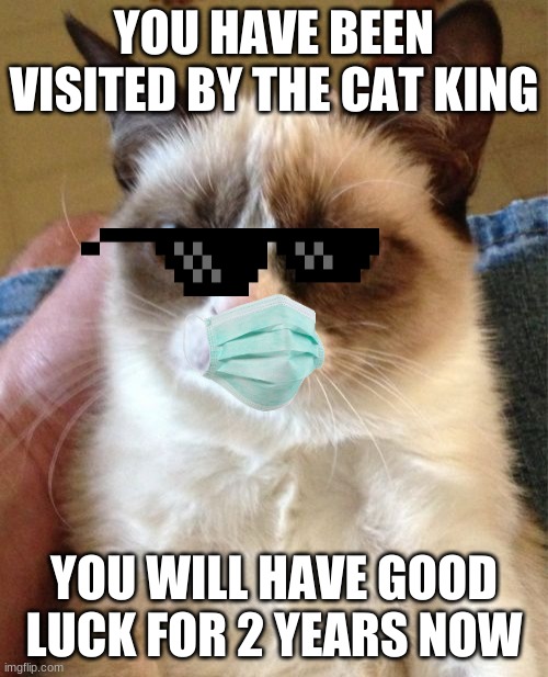 Grumpy Cat Meme | YOU HAVE BEEN VISITED BY THE CAT KING; YOU WILL HAVE GOOD LUCK FOR 2 YEARS NOW | image tagged in memes,grumpy cat | made w/ Imgflip meme maker
