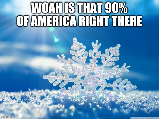 snowflakes |  WOAH IS THAT 90% OF AMERICA RIGHT THERE | image tagged in snowflake | made w/ Imgflip meme maker