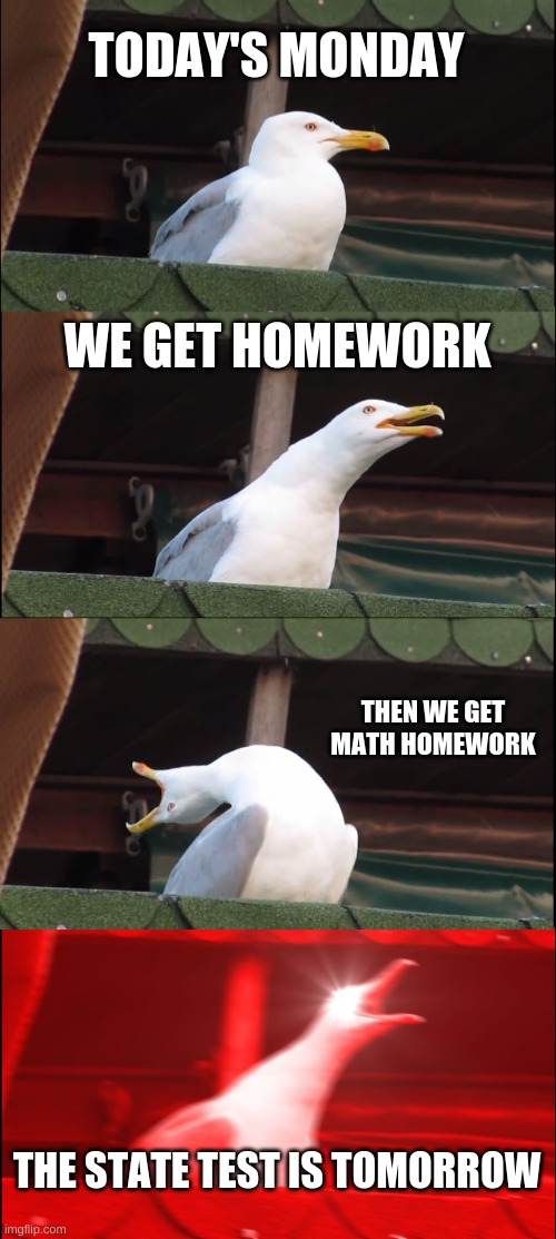 TrUe StOrY | TODAY'S MONDAY; WE GET HOMEWORK; THEN WE GET MATH HOMEWORK; THE STATE TEST IS TOMORROW | image tagged in memes,inhaling seagull | made w/ Imgflip meme maker