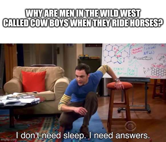 Why are they called cow boys???????????? | WHY ARE MEN IN THE WILD WEST CALLED COW BOYS WHEN THEY RIDE HORSES? | image tagged in blank white template,i don't need sleep i need answers | made w/ Imgflip meme maker