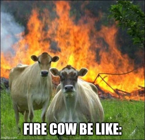 Evil Cows Meme | FIRE COW BE LIKE: | image tagged in memes,evil cows | made w/ Imgflip meme maker