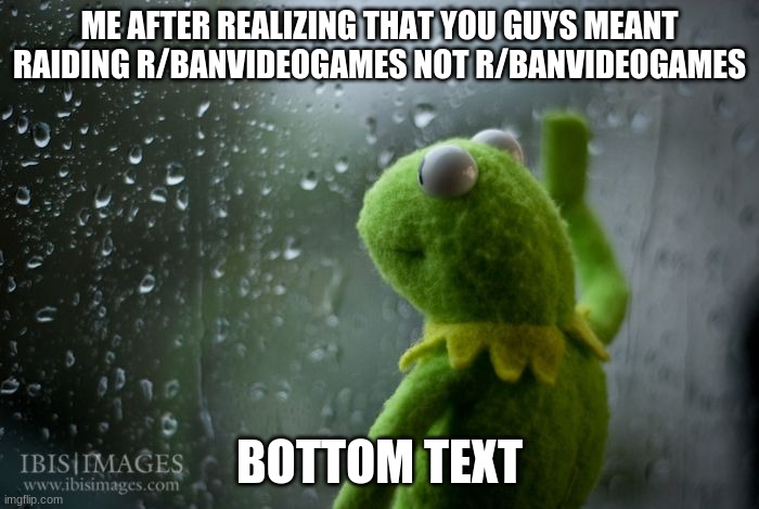 You guys got respec | ME AFTER REALIZING THAT YOU GUYS MEANT RAIDING R/BANVIDEOGAMES NOT R/BANVIDEOGAMES; BOTTOM TEXT | image tagged in kermit window | made w/ Imgflip meme maker