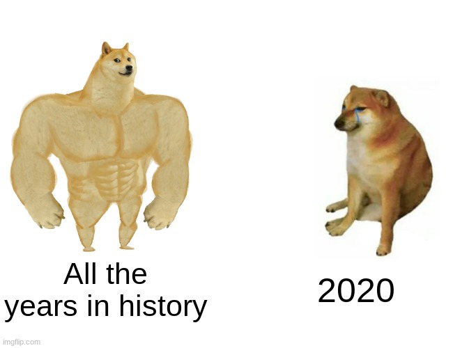 Buff Doge vs. Cheems | All the years in history; 2020 | image tagged in memes,buff doge vs cheems | made w/ Imgflip meme maker
