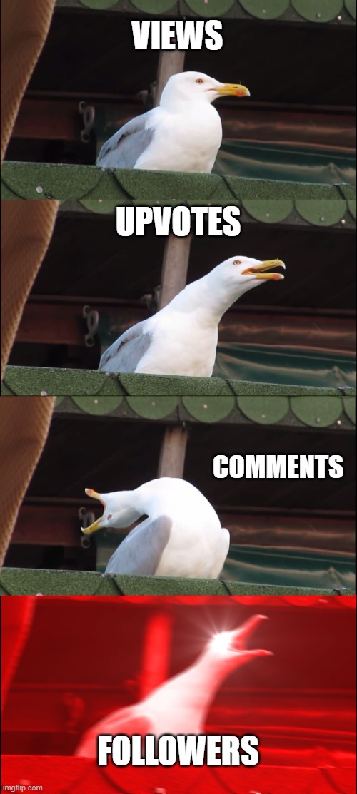 your first month on imgflip | VIEWS; UPVOTES; COMMENTS; FOLLOWERS | image tagged in memes,inhaling seagull | made w/ Imgflip meme maker