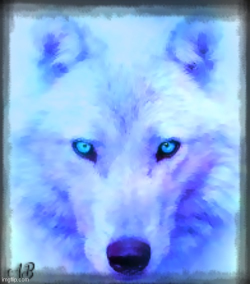 I made it. Like it? | image tagged in wolf,panting,cool | made w/ Imgflip meme maker