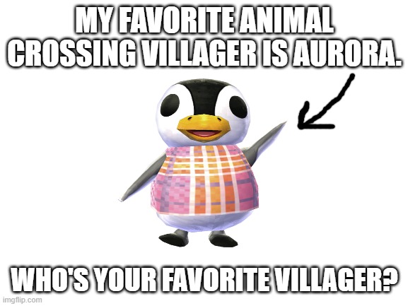 Blank White Template | MY FAVORITE ANIMAL CROSSING VILLAGER IS AURORA. WHO'S YOUR FAVORITE VILLAGER? | image tagged in blank white template,animal crossing | made w/ Imgflip meme maker