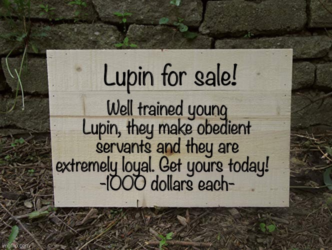 Lupin are a species who have been selectively bread and trained to be obedient slaves | Well trained young Lupin, they make obedient servants and they are extremely loyal. Get yours today!  
-1000 dollars each-; Lupin for sale! | image tagged in blank wooden sign | made w/ Imgflip meme maker