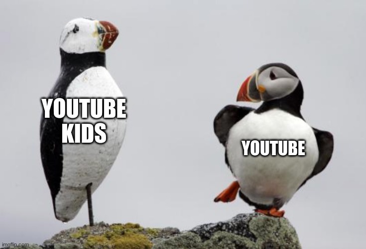 Puffin with Decoy | YOUTUBE KIDS; YOUTUBE | image tagged in puffin with decoy | made w/ Imgflip meme maker