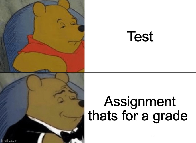 Tuxedo Winnie The Pooh | Test; Assignment thats for a grade | image tagged in memes,tuxedo winnie the pooh | made w/ Imgflip meme maker