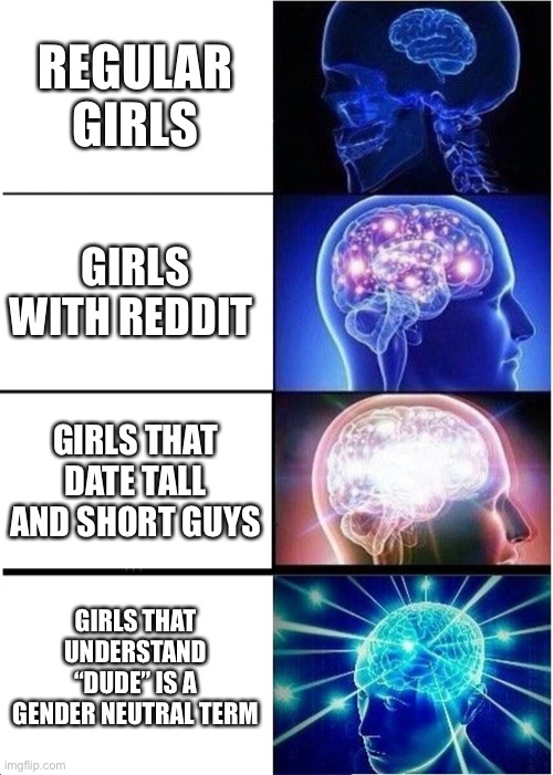 Which girl do you have? | REGULAR GIRLS; GIRLS WITH REDDIT; GIRLS THAT DATE TALL AND SHORT GUYS; GIRLS THAT UNDERSTAND “DUDE” IS A GENDER NEUTRAL TERM | image tagged in memes,expanding brain | made w/ Imgflip meme maker