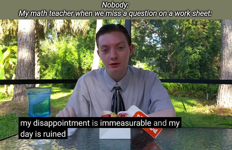My Disappointment Is Immeasurable | Nobody:
My math teacher when we miss a question on a work sheet: | image tagged in my disappointment is immeasurable | made w/ Imgflip meme maker