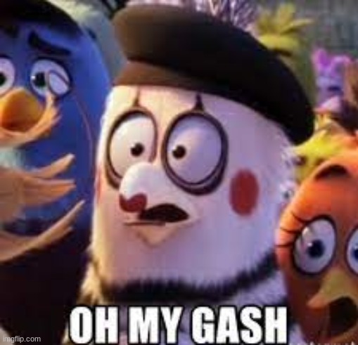 angry birds oh my gash | image tagged in angry birds oh my gash | made w/ Imgflip meme maker