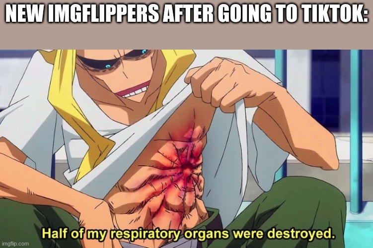 Ouch | NEW IMGFLIPPERS AFTER GOING TO TIKTOK: | image tagged in half of my respiratory organs were destroyed | made w/ Imgflip meme maker