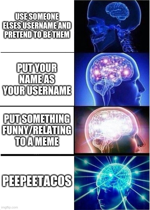 Vote in the comments for my username to be PeePeeTacos | USE SOMEONE ELSES USERNAME AND PRETEND TO BE THEM; PUT YOUR NAME AS YOUR USERNAME; PUT SOMETHING FUNNY/RELATING TO A MEME; PEEPEETACOS | image tagged in memes,expanding brain | made w/ Imgflip meme maker