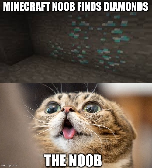 MINECRAFT NOOB FINDS DIAMONDS; THE NOOB | image tagged in minecraft | made w/ Imgflip meme maker