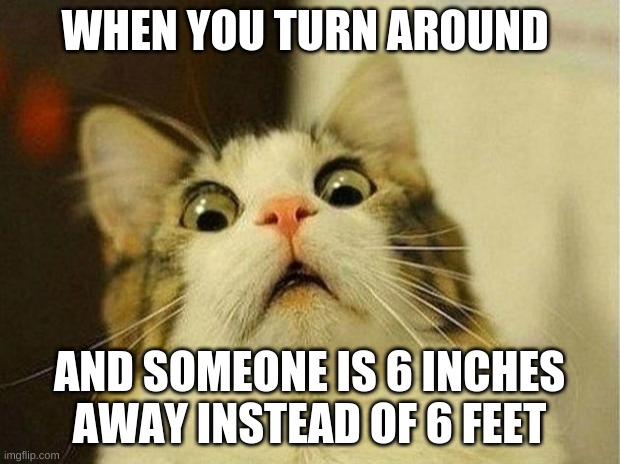 Scared Cat Meme | WHEN YOU TURN AROUND; AND SOMEONE IS 6 INCHES AWAY INSTEAD OF 6 FEET | image tagged in memes,scared cat | made w/ Imgflip meme maker