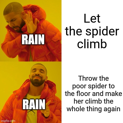 The spider I'm talking about is itsy bitsy spider | Let the spider climb Throw the poor spider to the floor and make her climb the whole thing again RAIN RAIN | image tagged in memes,drake hotline bling,spider,rain,climbing,rude | made w/ Imgflip meme maker