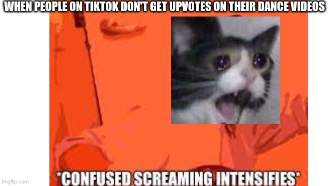 This is a Image title | WHEN PEOPLE ON TIKTOK DON'T GET UPVOTES ON THEIR DANCE VIDEOS | image tagged in funny,screaming,cat,tiktok | made w/ Imgflip meme maker