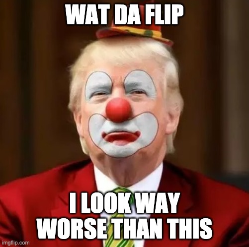 Donald Trump Clown | WAT DA FLIP; I LOOK WAY WORSE THAN THIS | image tagged in donald trump clown | made w/ Imgflip meme maker