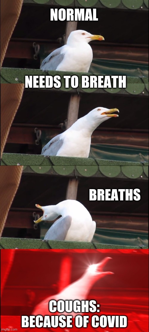 Inhaling Seagull | NORMAL; NEEDS TO BREATH; BREATHS; COUGHS:
BECAUSE OF COVID | image tagged in memes,inhaling seagull,covid-19,breathe | made w/ Imgflip meme maker