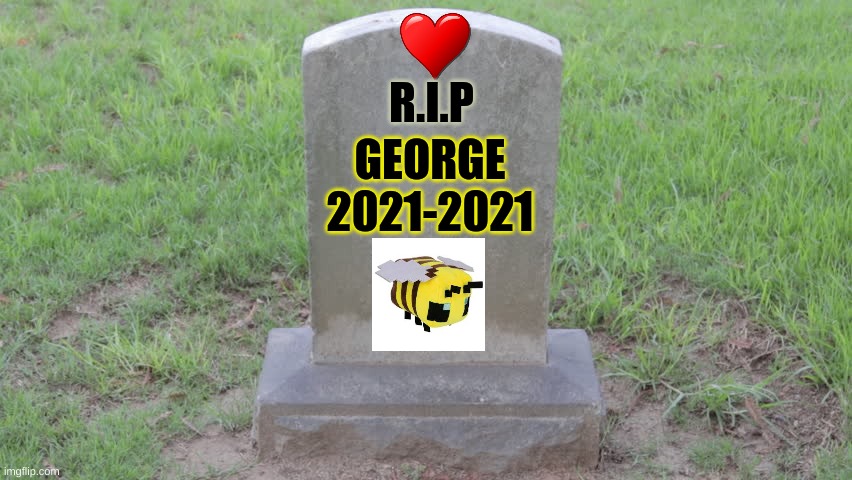 Blank Tombstone 001 | R.I.P GEORGE
2021-2021 | image tagged in blank tombstone 001 | made w/ Imgflip meme maker
