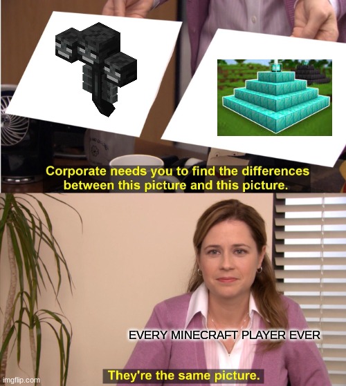 yes | EVERY MINECRAFT PLAYER EVER | image tagged in memes,they're the same picture | made w/ Imgflip meme maker