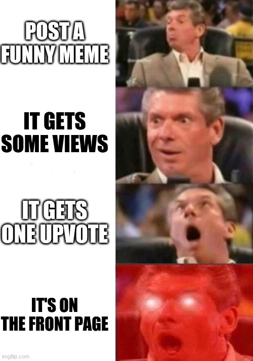 Every new person on imgflip istg | POST A FUNNY MEME; IT GETS SOME VIEWS; IT GETS ONE UPVOTE; IT'S ON THE FRONT PAGE | image tagged in mr mcmahon reaction | made w/ Imgflip meme maker