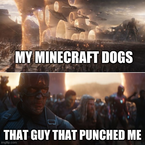 Avengers endgame portals | MY MINECRAFT DOGS; THAT GUY THAT PUNCHED ME | image tagged in avengers endgame portals | made w/ Imgflip meme maker