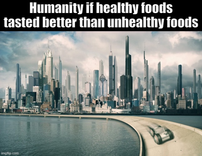Future City | Humanity if healthy foods tasted better than unhealthy foods | image tagged in future city | made w/ Imgflip meme maker