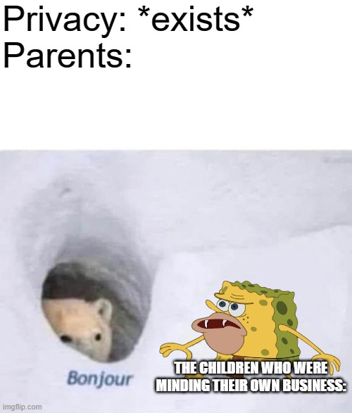 Bonjour | Privacy: *exists*
Parents:; THE CHILDREN WHO WERE MINDING THEIR OWN BUSINESS: | image tagged in bonjour,memes,privacy | made w/ Imgflip meme maker