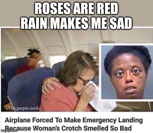 ROSES ARE RED RAIN MAKES ME SAD | made w/ Imgflip meme maker