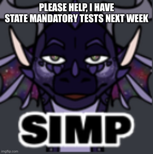 Peacemaker simp | PLEASE HELP, I HAVE STATE MANDATORY TESTS NEXT WEEK | image tagged in peacemaker simp | made w/ Imgflip meme maker