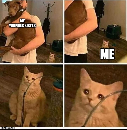 man holding dog but cat is sad | MY YOUNGER SISTER; ME | image tagged in man holding dog but cat is sad | made w/ Imgflip meme maker