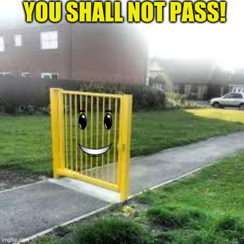 Useless Gate | YOU SHALL NOT PASS! | image tagged in useless gate | made w/ Imgflip meme maker