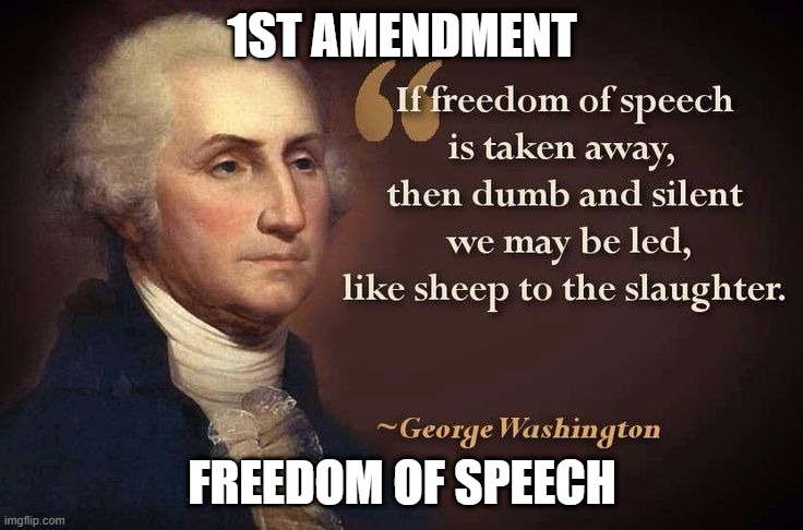 Bill of Rights | 1ST AMENDMENT; FREEDOM OF SPEECH | image tagged in george washington | made w/ Imgflip meme maker