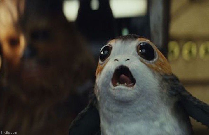 Star Wars Porg | image tagged in star wars porg | made w/ Imgflip meme maker
