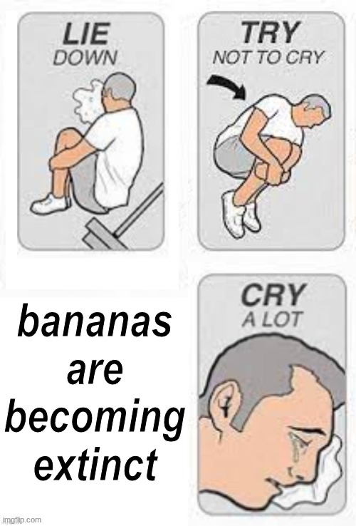 Try not to cry | bananas are becoming extinct | image tagged in try not to cry,dying,banana,memes,new template | made w/ Imgflip meme maker