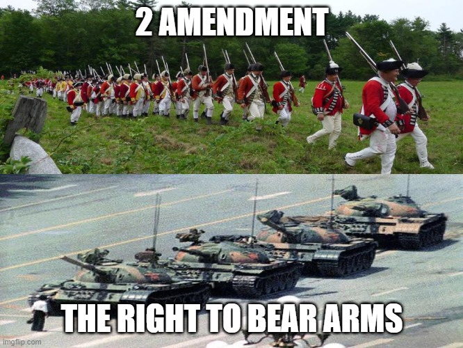 Right to Bear Arms | 2 AMENDMENT; THE RIGHT TO BEAR ARMS | image tagged in right to bear arms | made w/ Imgflip meme maker