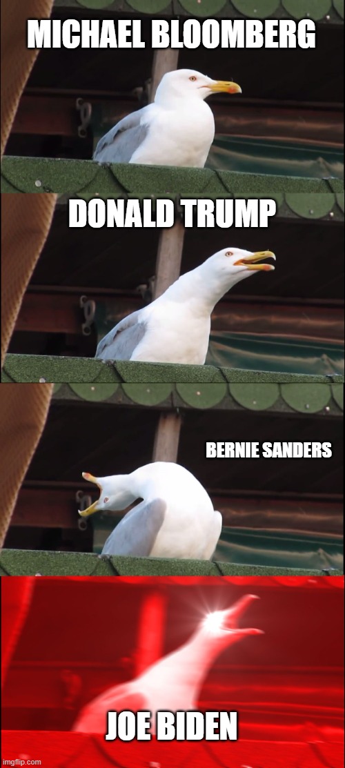 Inhaling Seagull | MICHAEL BLOOMBERG; DONALD TRUMP; BERNIE SANDERS; JOE BIDEN | image tagged in memes,inhaling seagull | made w/ Imgflip meme maker