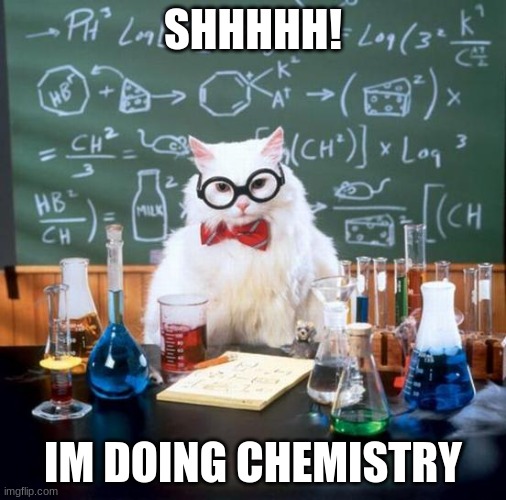Chemistry Cat | SHHHHH! IM DOING CHEMISTRY | image tagged in memes,chemistry cat | made w/ Imgflip meme maker