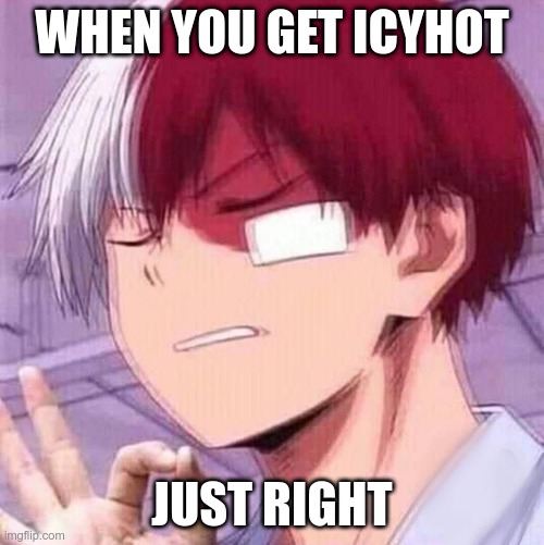 Todoroki In The Zone Imgflip