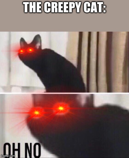Oh no cat | THE CREEPY CAT: | image tagged in oh no cat | made w/ Imgflip meme maker