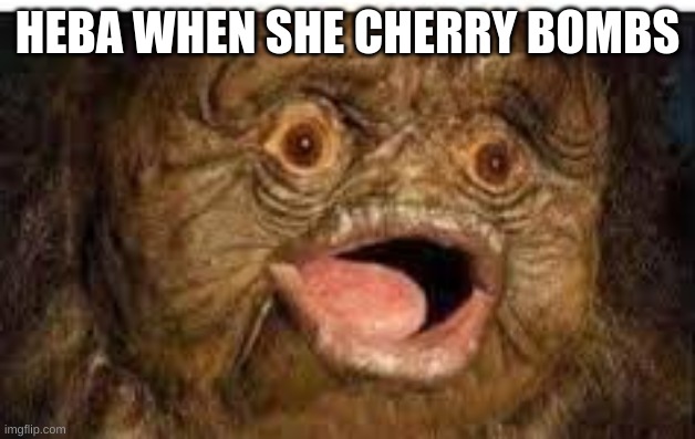 heba | HEBA WHEN SHE CHERRY BOMBS | image tagged in cha cha real smooth | made w/ Imgflip meme maker