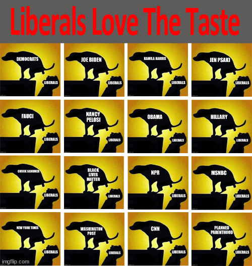 Libtard eat it up | image tagged in liberals,libtards,stupid liberals,triggered liberal | made w/ Imgflip meme maker