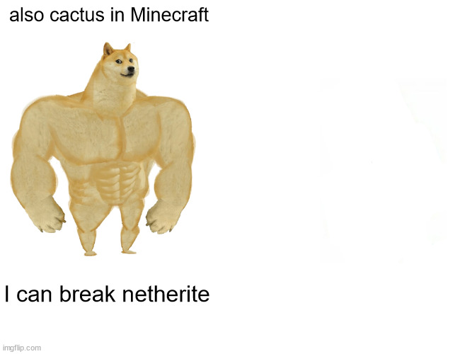 Buff Doge vs. Cheems Meme | also cactus in Minecraft I can break netherite | image tagged in memes,buff doge vs cheems | made w/ Imgflip meme maker