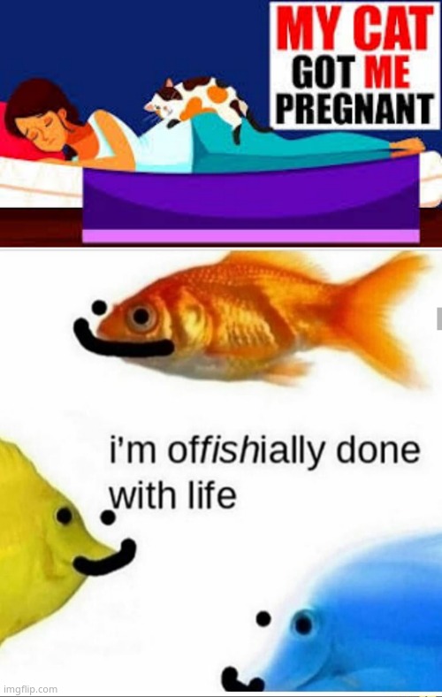 i think youtube is harrasing me... | image tagged in e | made w/ Imgflip meme maker