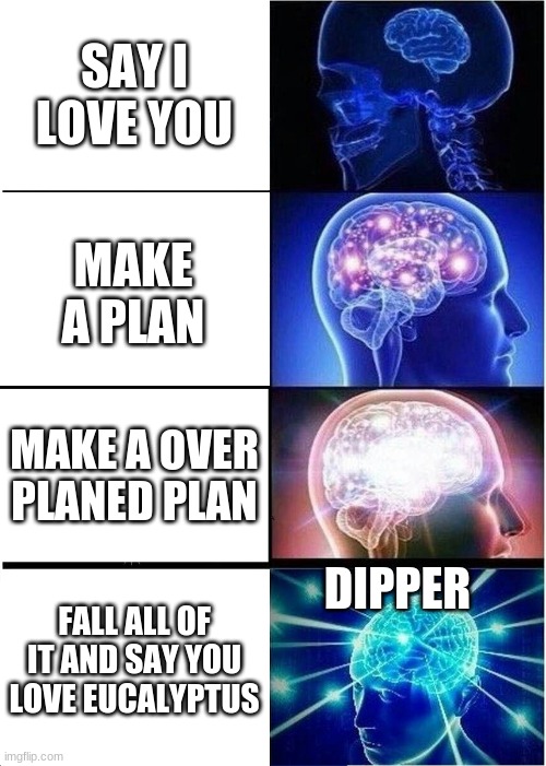 Expanding Brain | SAY I LOVE YOU; MAKE A PLAN; MAKE A OVER PLANED PLAN; DIPPER; FALL ALL OF IT AND SAY YOU LOVE EUCALYPTUS | image tagged in memes,expanding brain | made w/ Imgflip meme maker