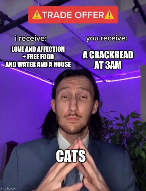 Trade Offer | A CRACKHEAD AT 3AM; LOVE AND AFFECTION + FREE FOOD AND WATER AND A HOUSE; CATS | image tagged in trade offer | made w/ Imgflip meme maker