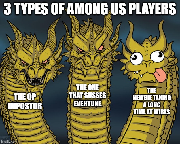 types of among us players | 3 TYPES OF AMONG US PLAYERS; THE ONE THAT SUSSES EVERYONE; THE NEWBIE TAKING A LONG TIME AT WIRES; THE OP IMPOSTOR | image tagged in three-headed dragon | made w/ Imgflip meme maker
