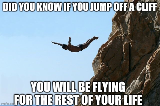 You will | DID YOU KNOW IF YOU JUMP OFF A CLIFF; YOU WILL BE FLYING FOR THE REST OF YOUR LIFE | image tagged in jumping off a cliff | made w/ Imgflip meme maker